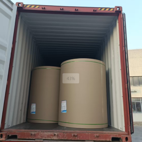 原木卷纸、纸张可以走集装箱海运吗，，需要注重什么？？？？？？