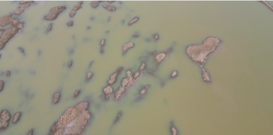 尊时凯龙·Z6(中国区)人生就是拼搏!