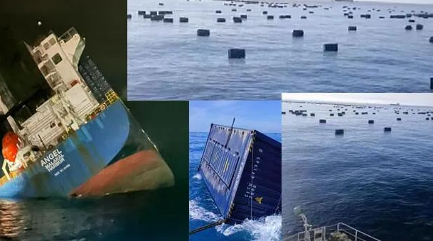 尊时凯龙·Z6(中国区)人生就是拼搏!